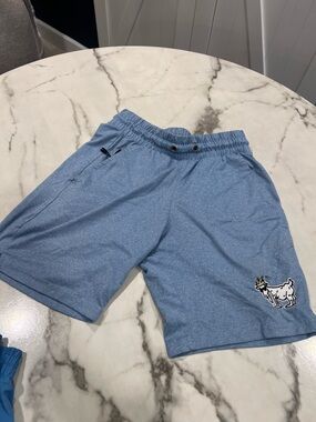 Kids Blue Athletic Shorts with Goat Patch